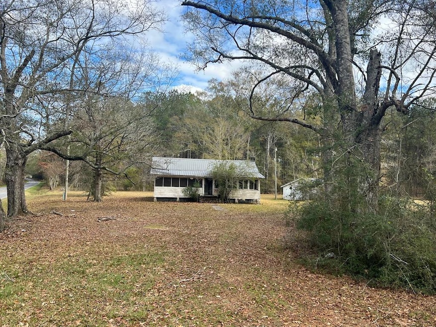 Main View