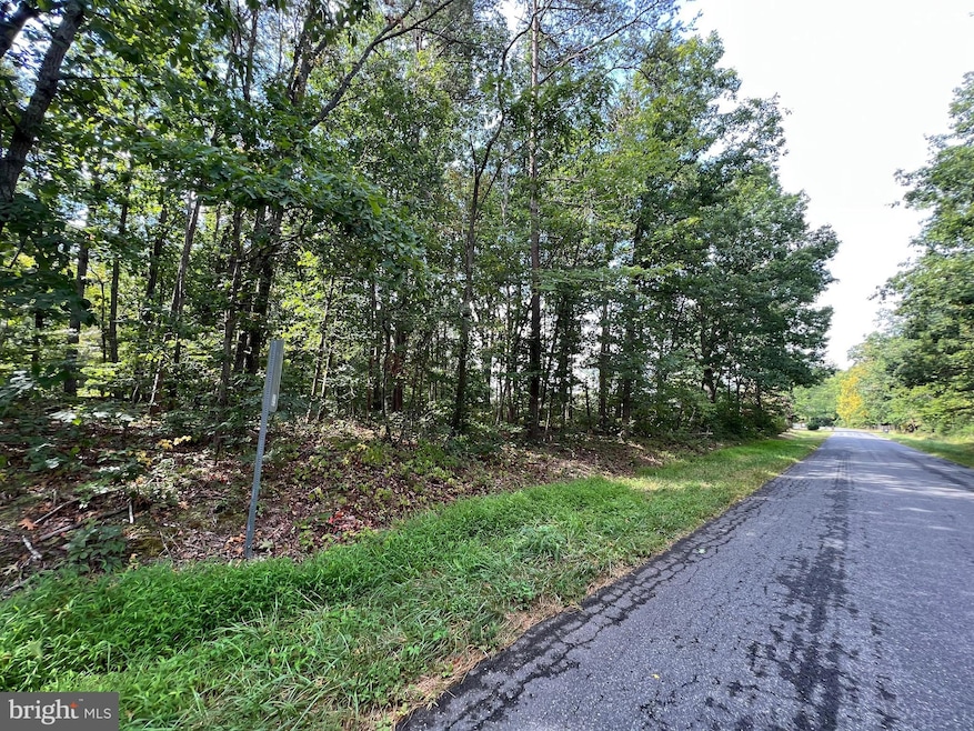 0 Fords Shop Rd, Culpeper, VA 22701 - photo 1