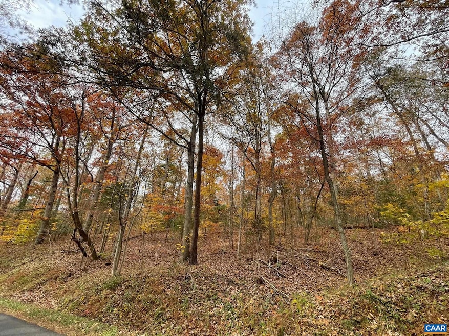 TBD3 Chapman Rd, Stanardsville, VA 22973 - photo 1