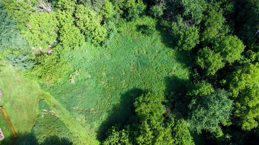 TBD 169th Ave NE, Ham Lake, MN 55304 - photo 1