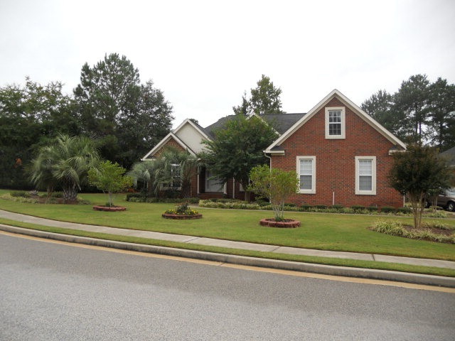 Main View