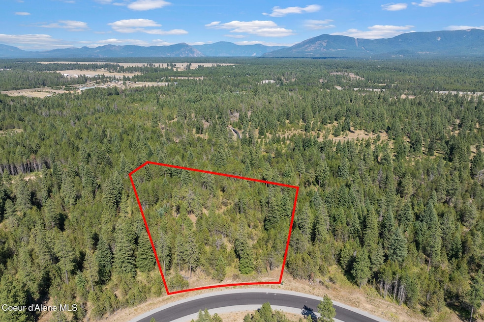 Lot 3 Dawson Lp, Athol, ID 83801 - photo 1