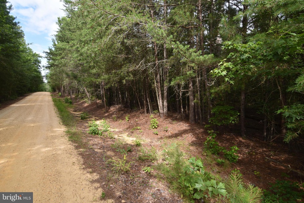 20975 Greenwell Way, Leonardtown, MD 20650 - photo 1