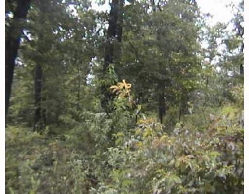 L12 B3 Leona Dr, Bella Vista, AR 72715 - photo 1