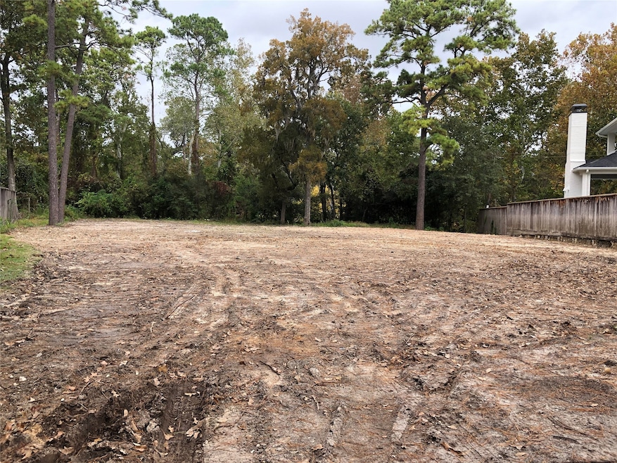 10102 Briar Dr, Houston, TX 77042 - photo 1