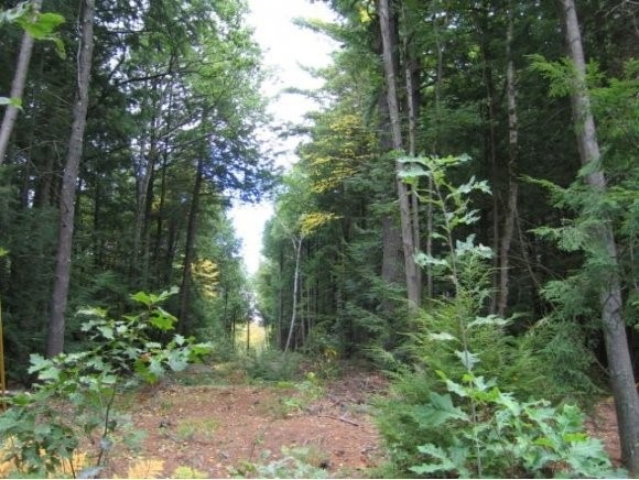 0 Quarry Rd, Westminster, VT 05346 - photo 1