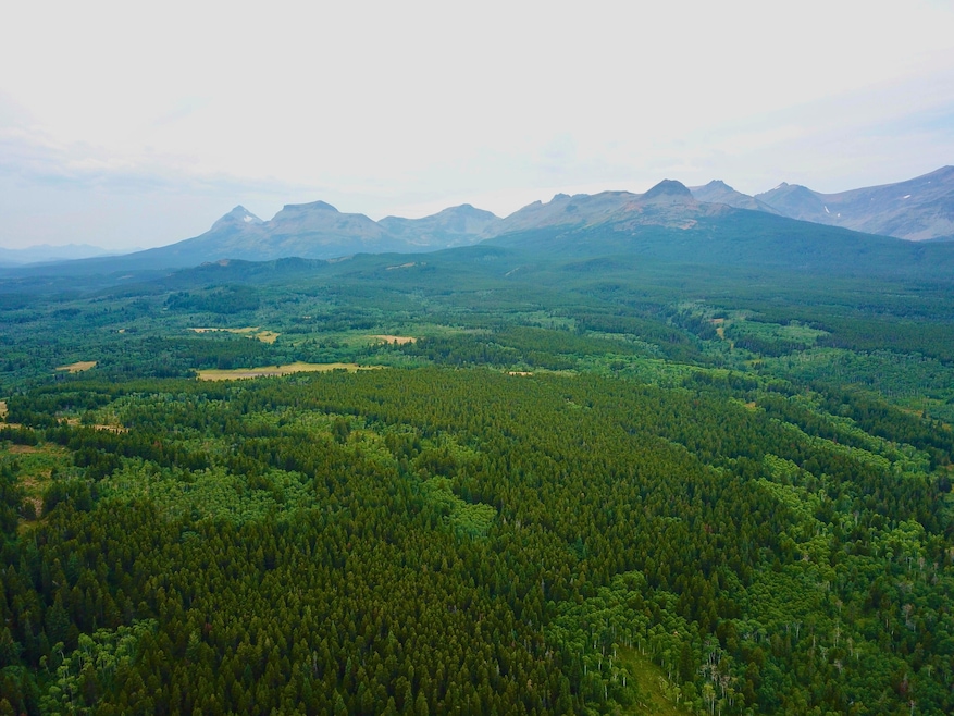 DJI_0004