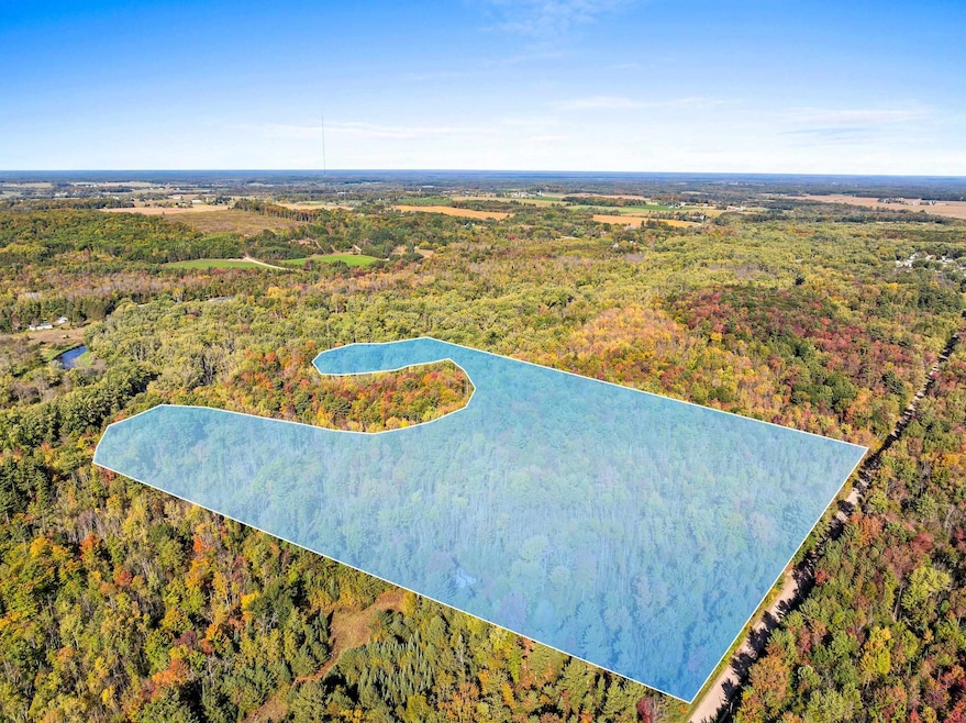 8653 Alder Ln, Suring, WI 54174 - photo 1