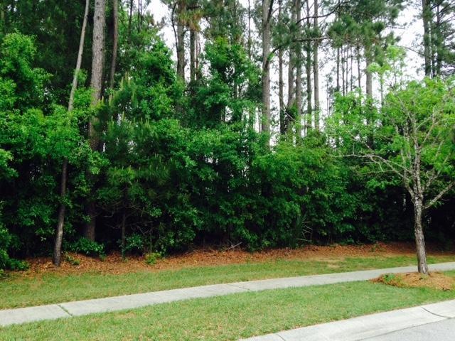 Lot View 1