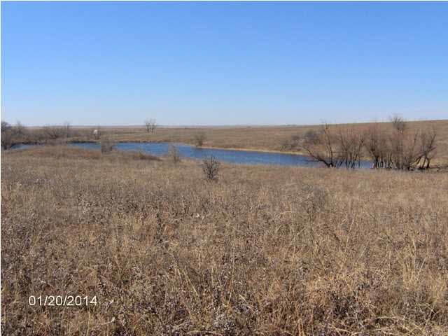 Pond 1 Good Water for cattle and fishing
