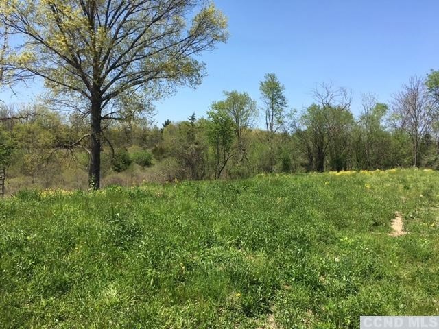 0 Cemetery Rd unit 109123, Clermont, NY 12526 - photo 1