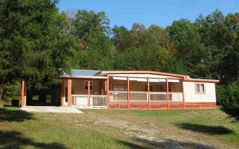 Main View