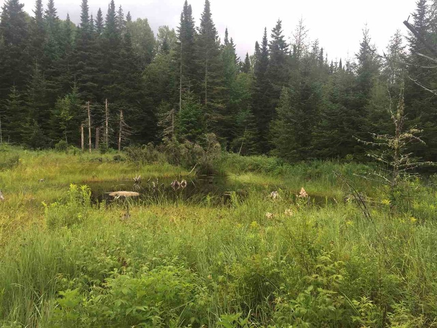 00 Gray Rd, Columbia, NH 03576 - photo 1