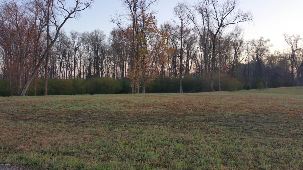 Lot 7