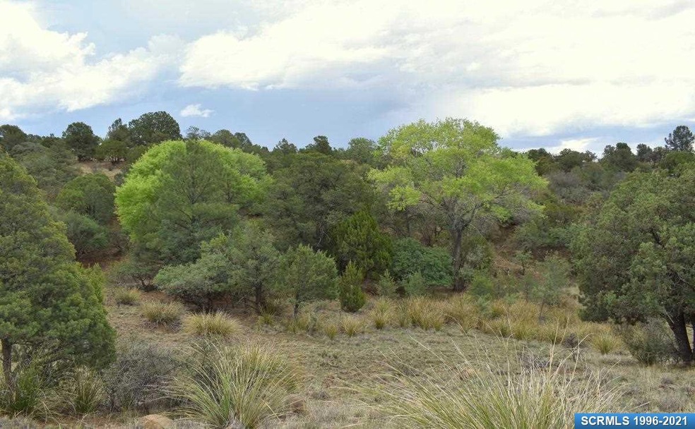 XX Shadow Mountain Rd, Silver City, NM 88061 - photo 1