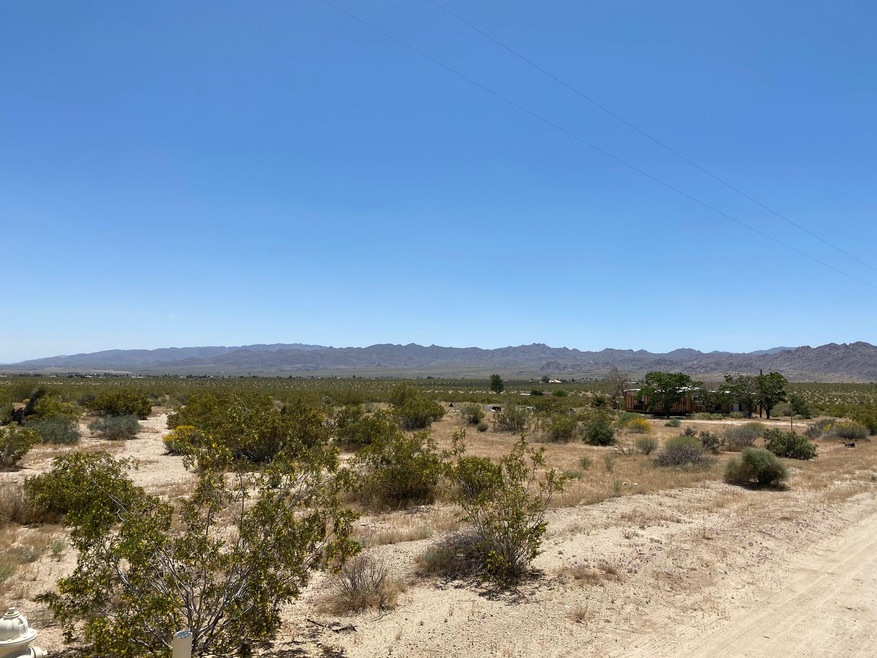 View looking SE across property