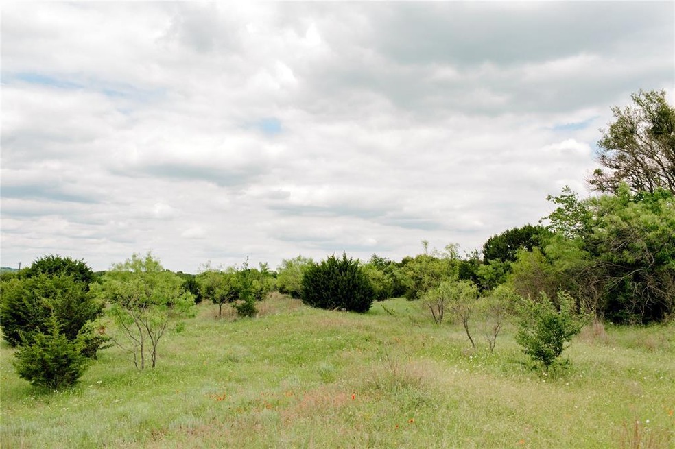TBD 5 Ox Mill Creek Rd, Weatherford, TX 76087 - photo 1