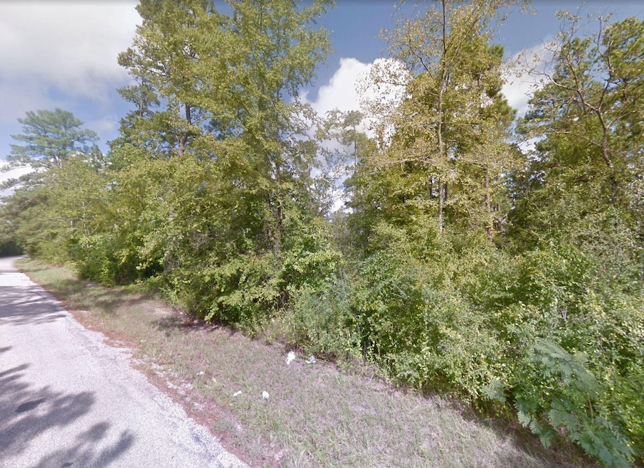 Dewberry Ct, Huntsville, TX 77320 - photo 1