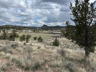 IMG_2490_1711465213637