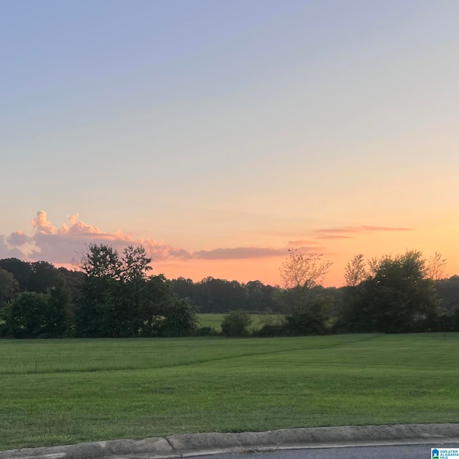 4901 Michael Dr, Dora, AL 35062 - photo 1