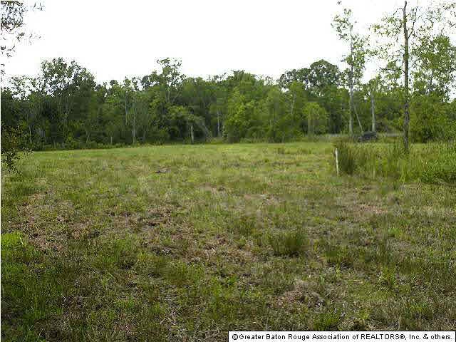 View of Back/Homesite Section of Property