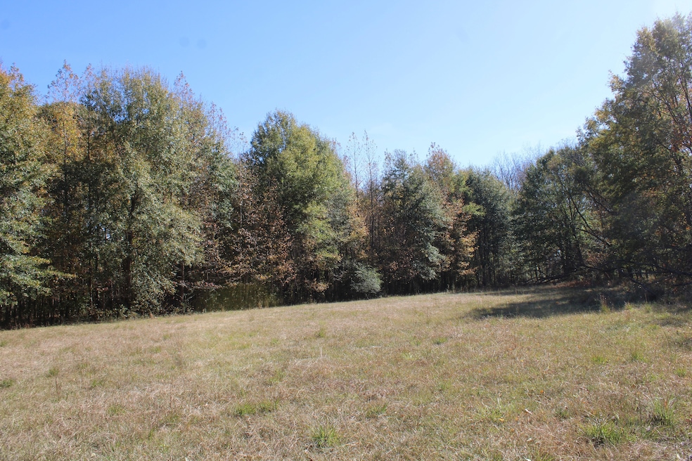 12000 Center Hill Rd, Mineral Wells, MS 38654 - photo 1