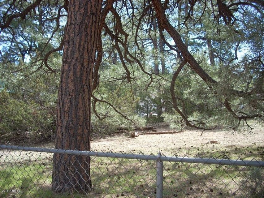 2053 WILDERNESS (1)