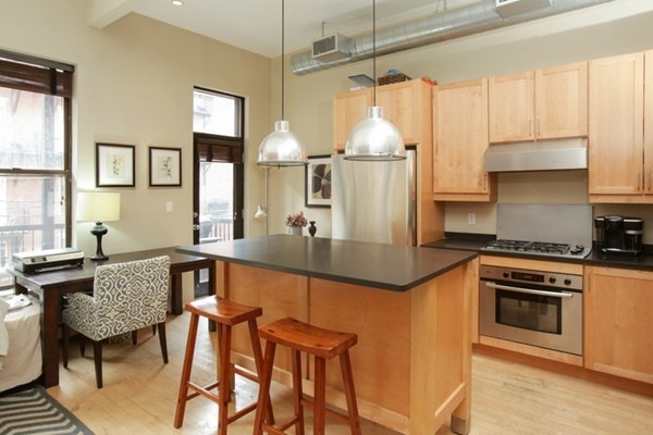 35 E Concord St unit 2, Boston, MA 02118 - photo 1