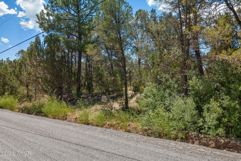 3127RanchRd-HeberOvergaard-AZ-1