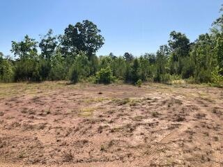 0 Waterford Ln unit 1355321, Rocky Face, GA 30740 - photo 1