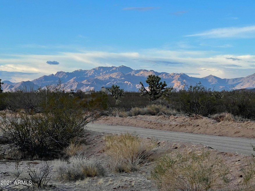3503 S Lone Ranger Rd unit 3503, Yucca, AZ 86438 - photo 1