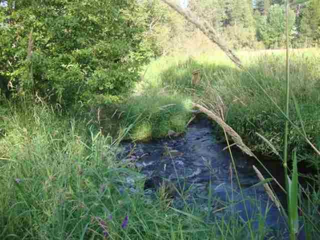 25315 N North Rd, Colbert, WA 99005 - photo 1