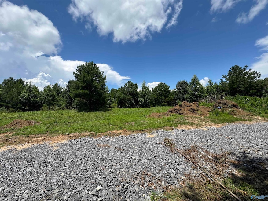 5 Razorback Way, Albertville, AL 35951 - photo 1