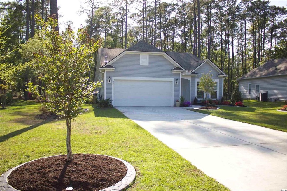 228 Tilly Ct, Conway, SC 29526 - photo 1