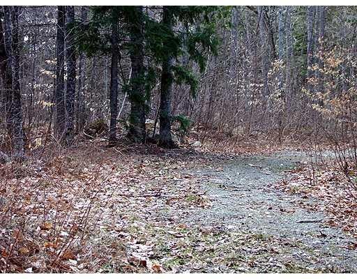 Land/Lot.