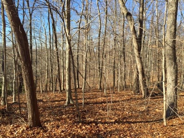 0 Bashan Rd unit M9148807, East Haddam, CT 06423 - photo 1