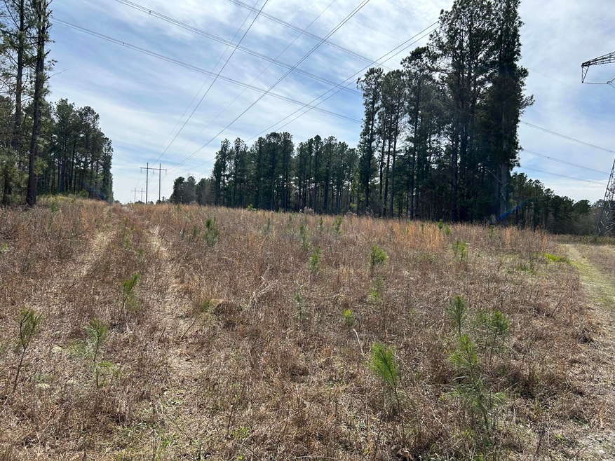 000 Augusta Hwy, Dearing, GA 30808 - photo 1