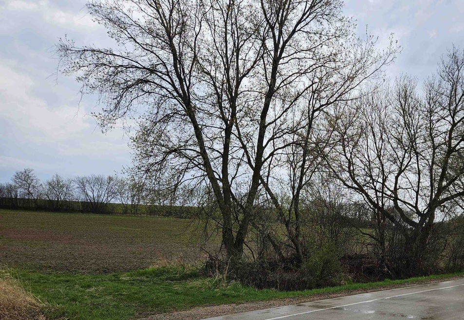 Sold $188,160 • Co-Listing Agent