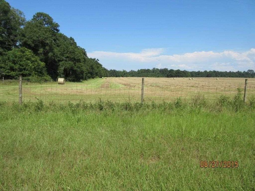0 Graham Trail unit 261105, Crawfordville, FL 32327 - photo 1