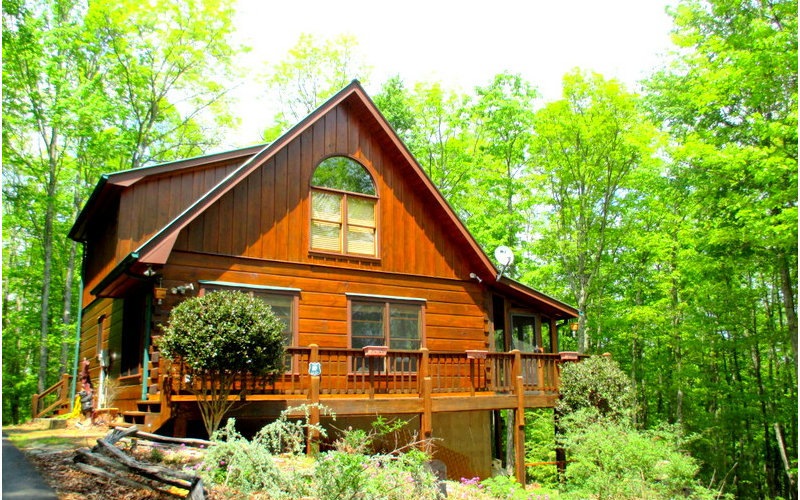 Main View