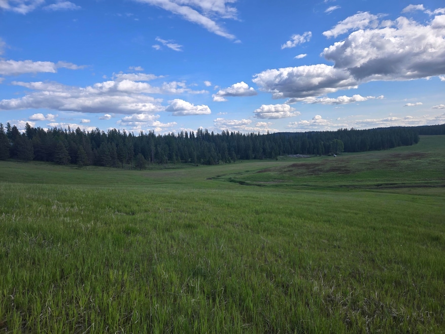 5266 Wagner Rd, Springdale, WA 99173 - photo 1