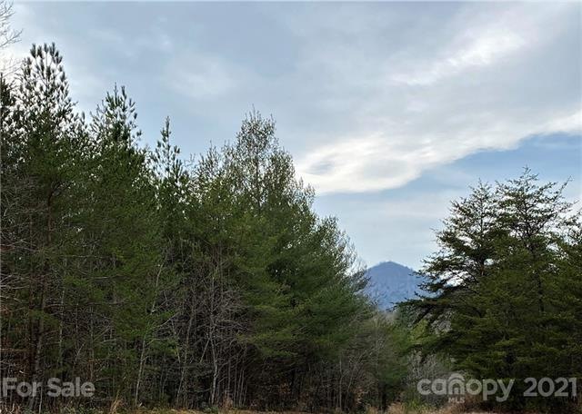 View from Early Place