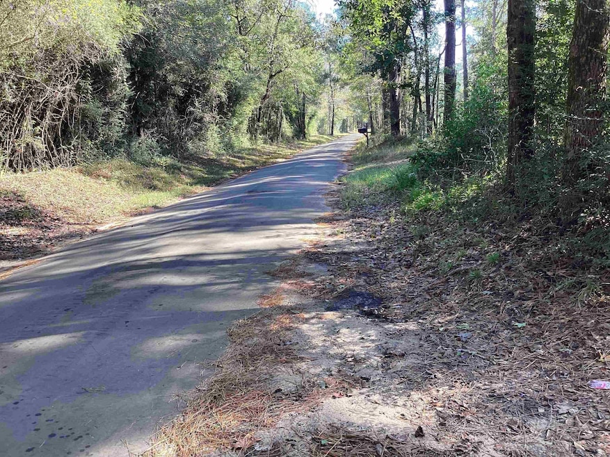 0 County Road 3038, Newton, TX 75966 - photo 1