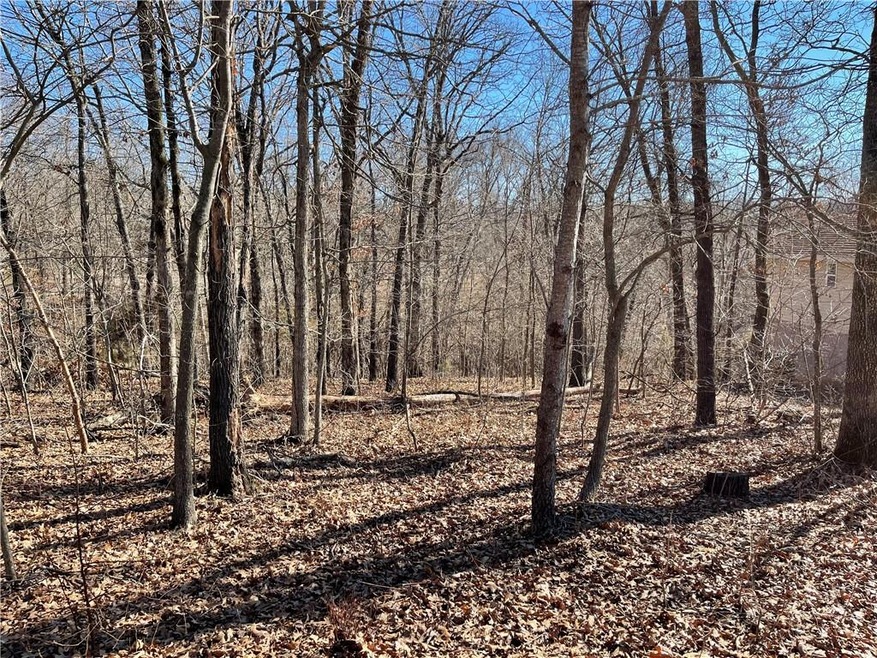 0 Campbell Ln, Bella Vista, AR 72715 - photo 1