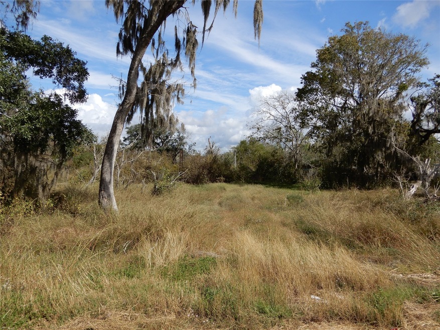 808 County Road 388c, Brazoria, TX 77422 - photo 1