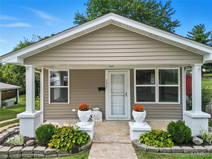 733 Warne St, Festus, MO 63028 - photo 1