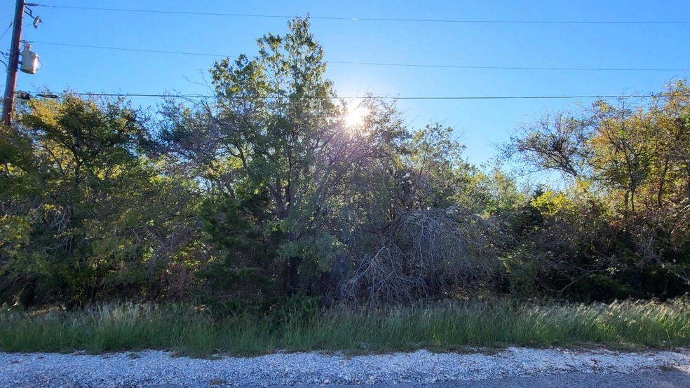 21029 Trailwood Dr, Whitney, TX 76692 - photo 1