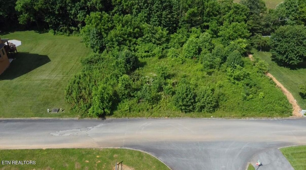 Lot 8 Thomas Headrick Rd, Sevierville, TN 37862 - photo 1