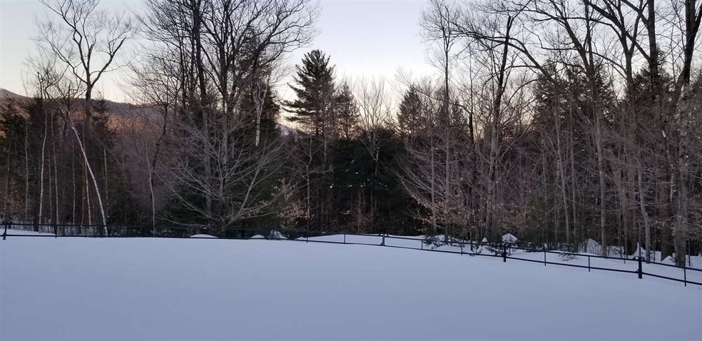 14 Pear Mt Rd unit Lot 14, Bartlett, NH 03812 - photo 1