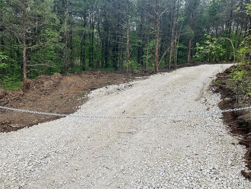 2244 Liberty Crossing Trail, Hillsboro, MO 63050 - photo 1